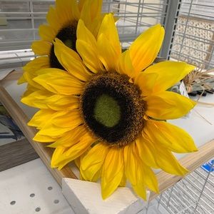 Meet your Posher, Yesica